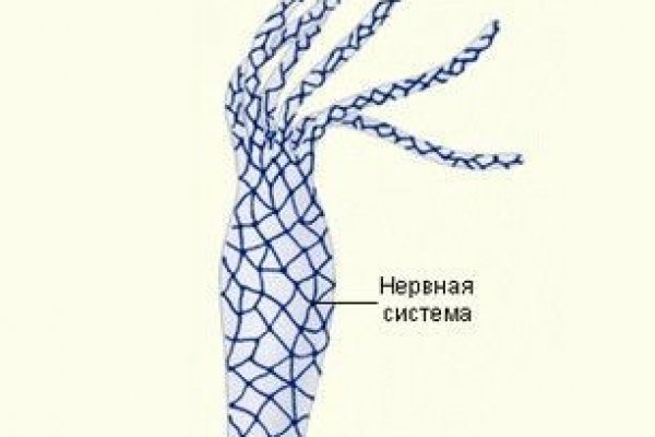 Кракен дарк ссылка