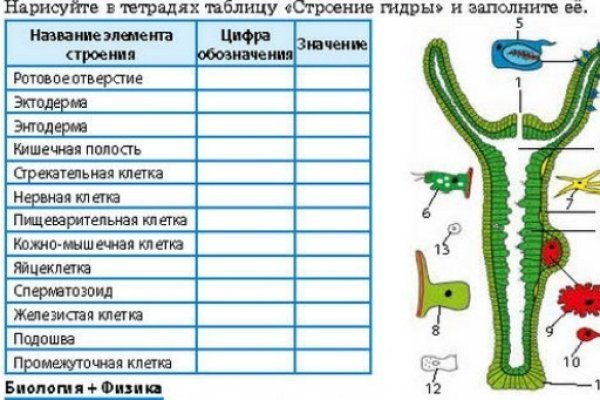 Кракен маркет только через тор