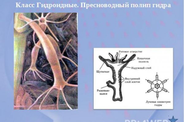 Оригинальный сайт кракен