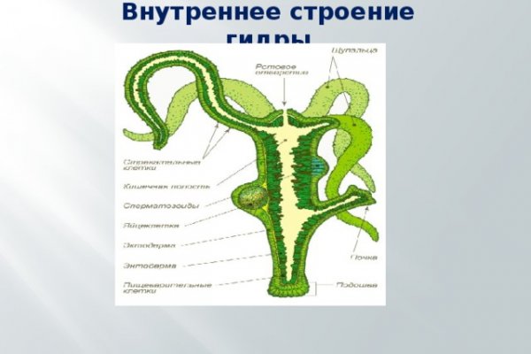 Клир ссылка на кракен 2025