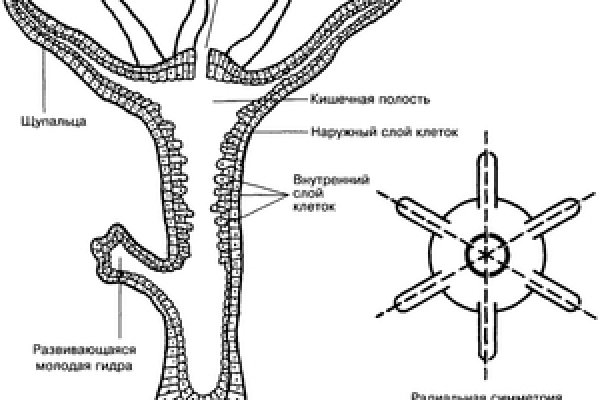 Список сайтов даркнета
