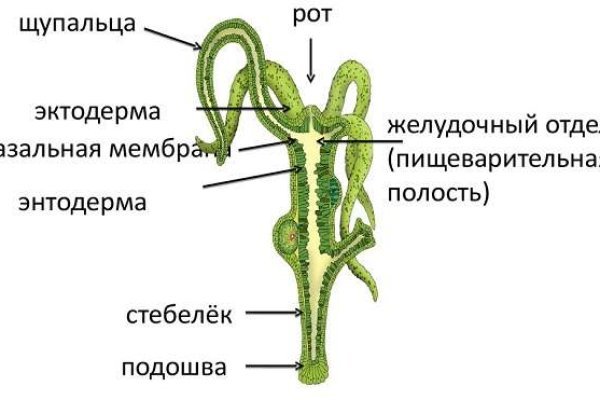 Кракен не работает тор